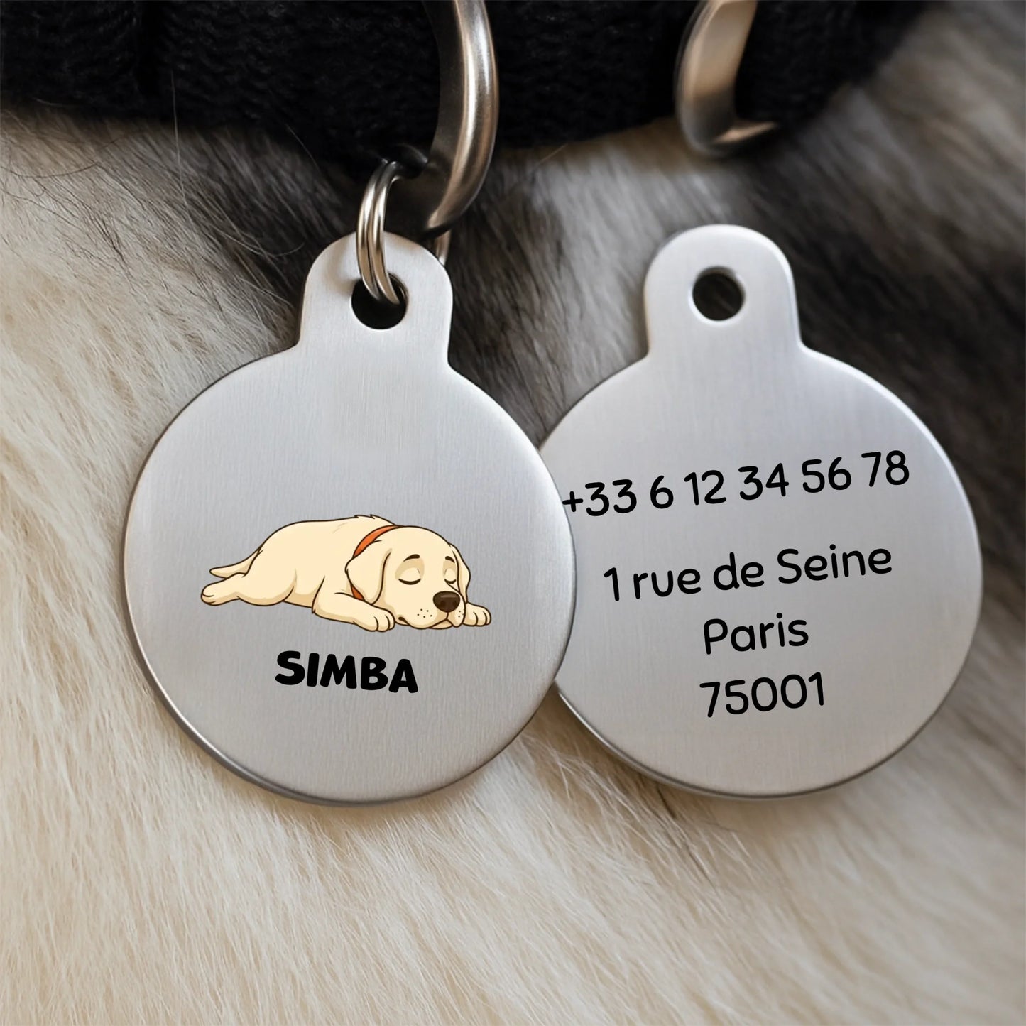 Médaillon personnalisé argenté avec illustration d'un chiot labrador endormi et le prénom Simba sur un collier de chien.