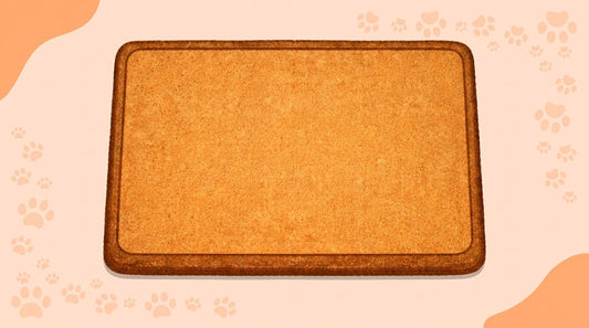 Illustration blog Draw My Pets - Paillasson effigie chat