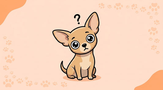 Illustration blog Draw My Pets - erreur chihuahua