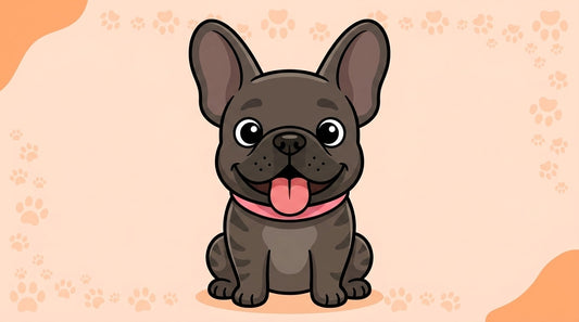 Illustration blog Draw My Pets - bouledogue français
