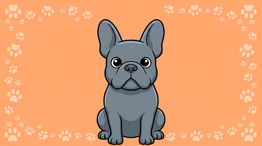 Illustration blog Draw My Pets - bouledogue français bleu