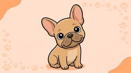 Illustration blog Draw My Pets - bouledogue français chiot