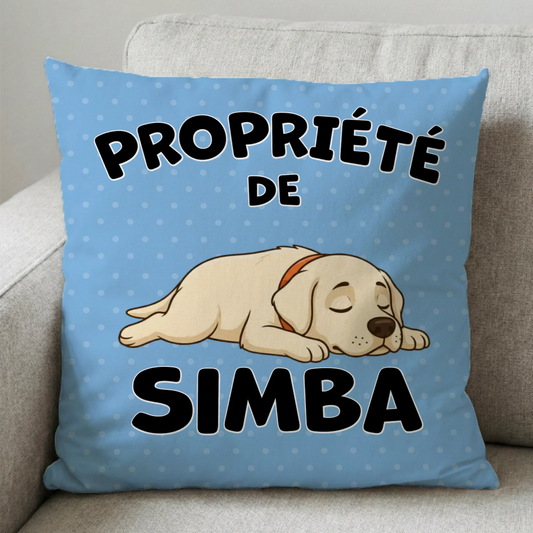 Coussin carré - Propriété de