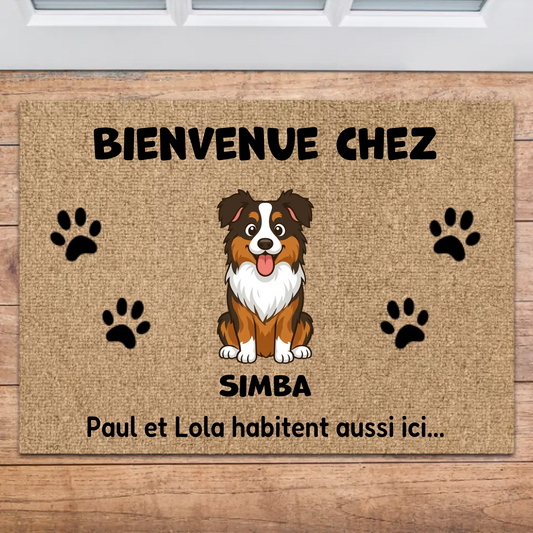 Paillasson : Bienvenue chez