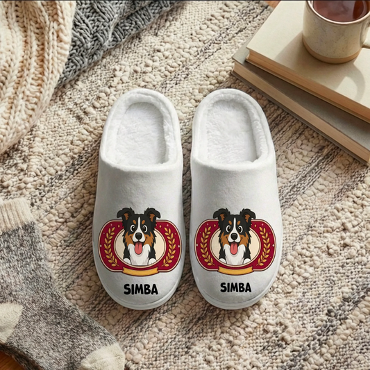 Pantufas: "Rei/Rainha da Casa"