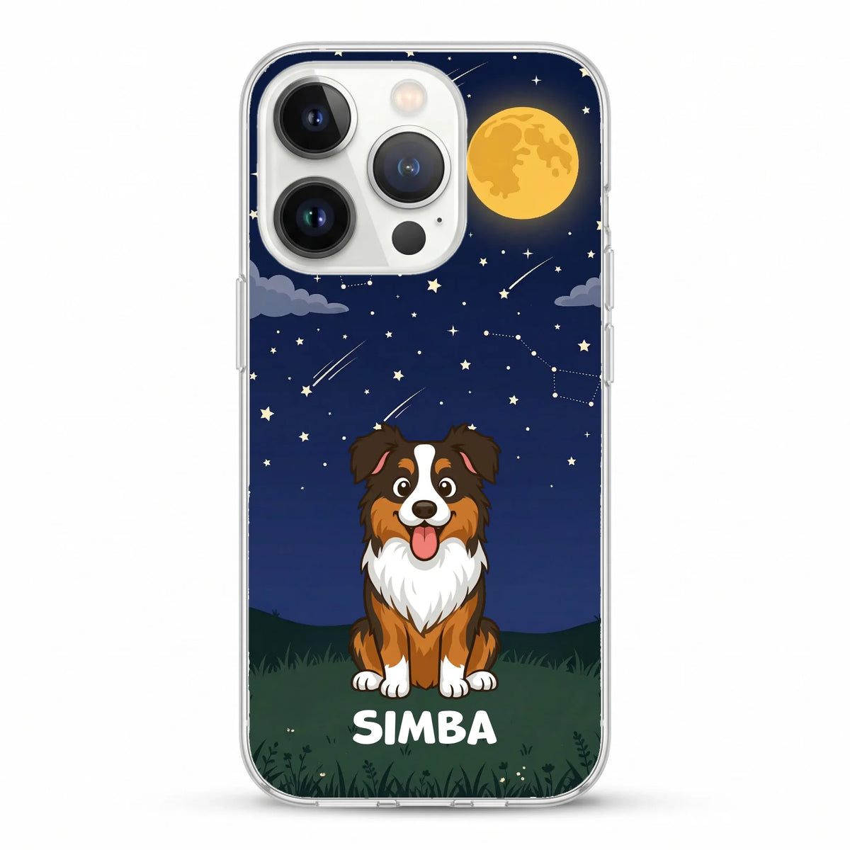 Iphone 12_12 pro - Back