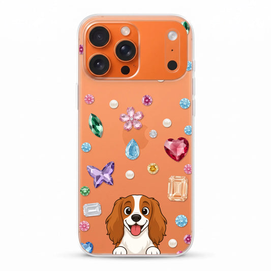 Iphone 17 pro - Back