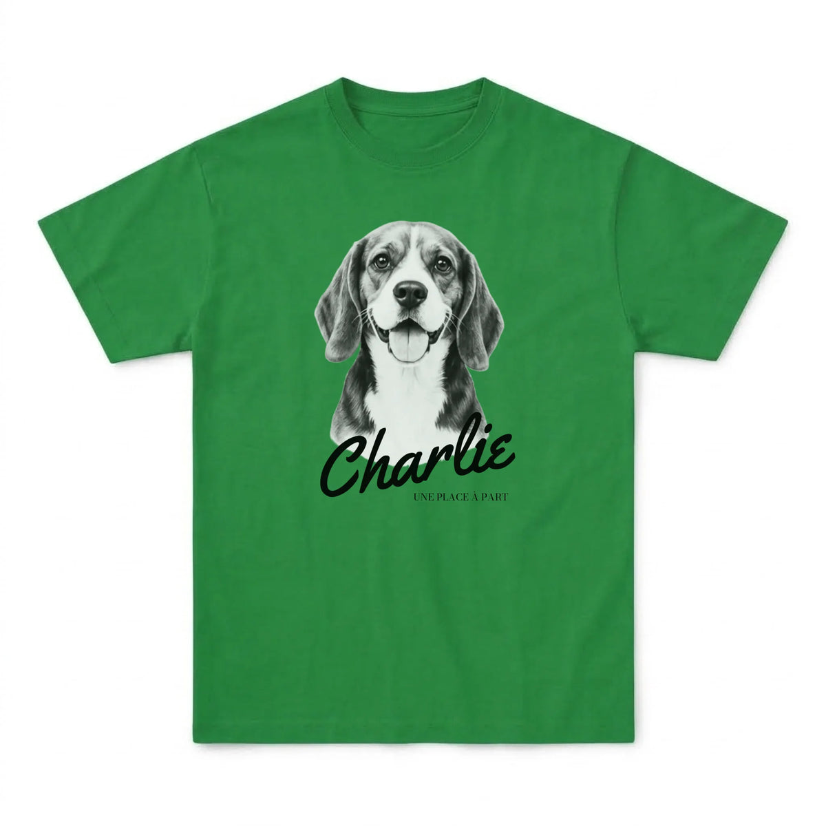 tshirt_vert_1_flat_avant