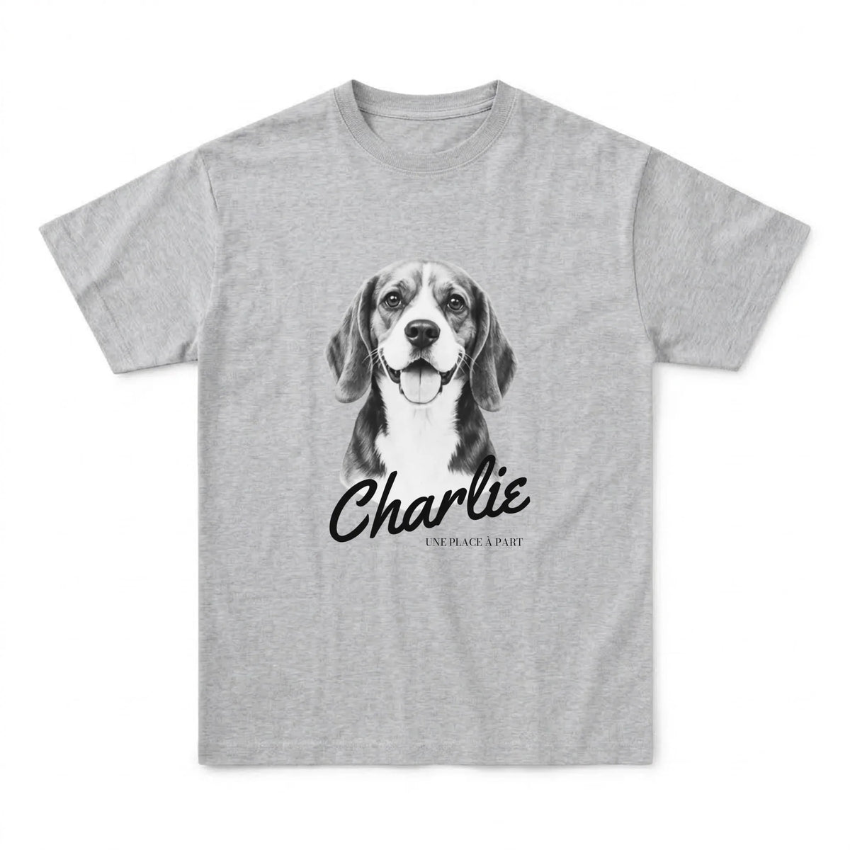 tshirt_gris-chine_1_flat_avant