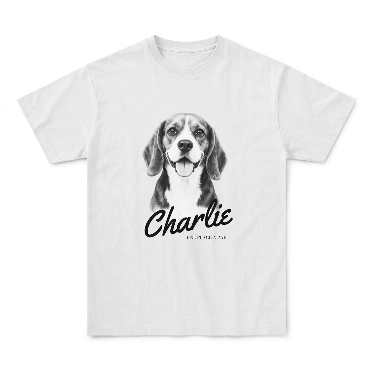 tshirt_blanc_1_flat_avant