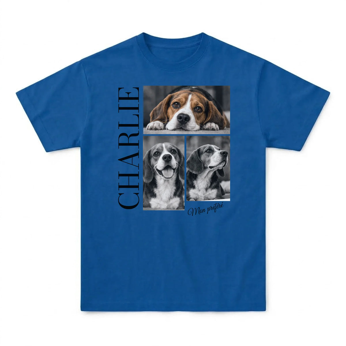 tshirt_royal_1_flat_avant