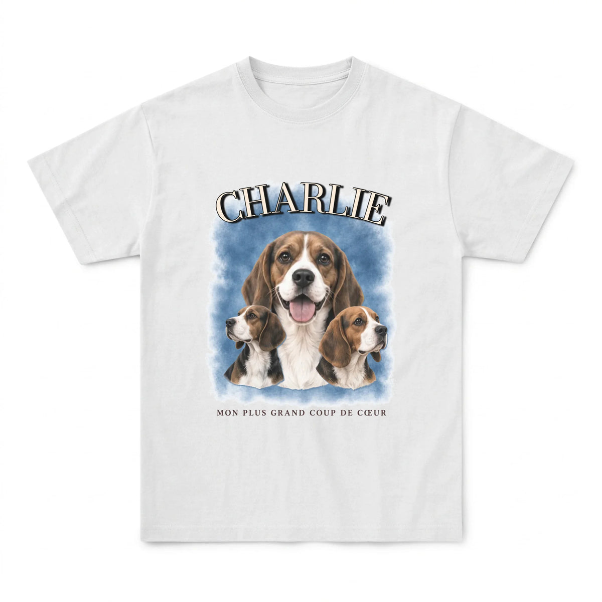 tshirt_blanc_1_flat_avant